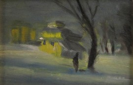 Winter Walk At Night