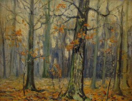 Autumn Woods ala Carlson