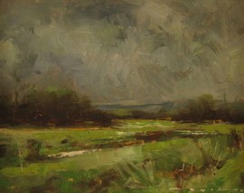 Storm on Marsh Horizon