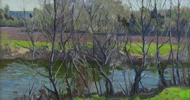 Spring Stream with Trees