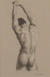 Male Nude, Back View