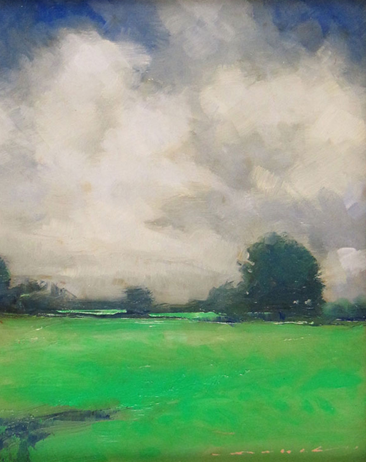 Green Fields and Cumulus – Janus Galleries