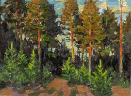 Autumn Colors with New Pines #47
