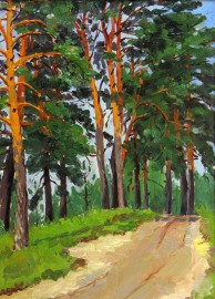 Road Through Tall Summer Pines #14