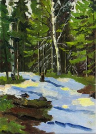 Spring Thaw in Woods #60