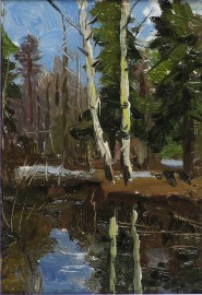 Birch Reflections, Autumn #68
