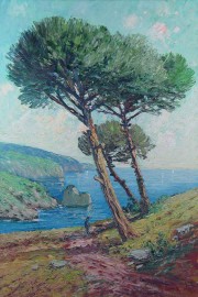 Seaside Cypress
